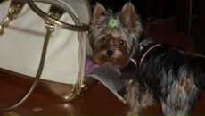 Фотография Джумской Катерины