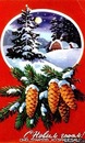 Тоха Кріль фотография #9 (источник - https://vk.com/id158145315)