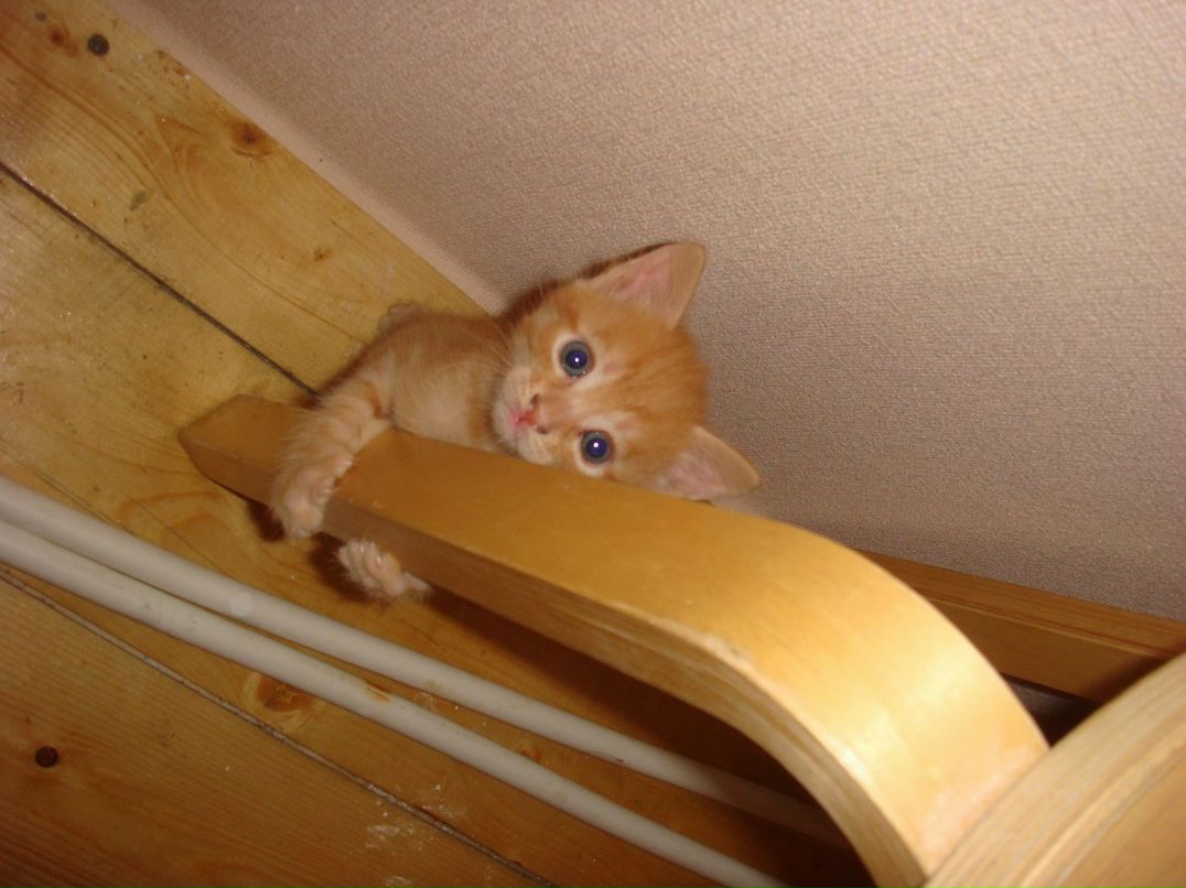 Оля Хапцова фотография #20