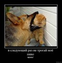 Роман Платко фотография #20 (источник - https://vk.com/id71472194)