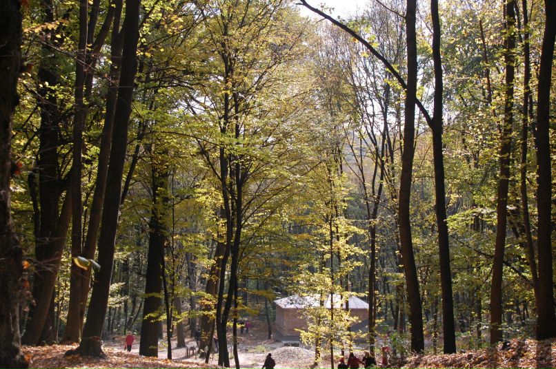 Игорь Грецкий фотография #9