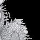 Інна Садовчук фотография #32 (источник - https://vk.com/id149078388)