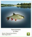 Віталік Гірняк фотография #49 (источник - https://vk.com/id139859569)