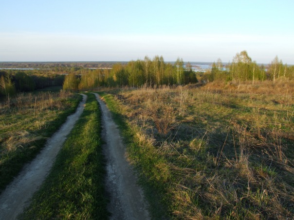 Дмитрий Cеребряков фото №25