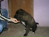 Андрій Возняк фотография #11 (источник - https://vk.com/id43204840)