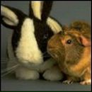 Фотография Пошвиной Натальи