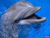 Фотография Першиной Марии