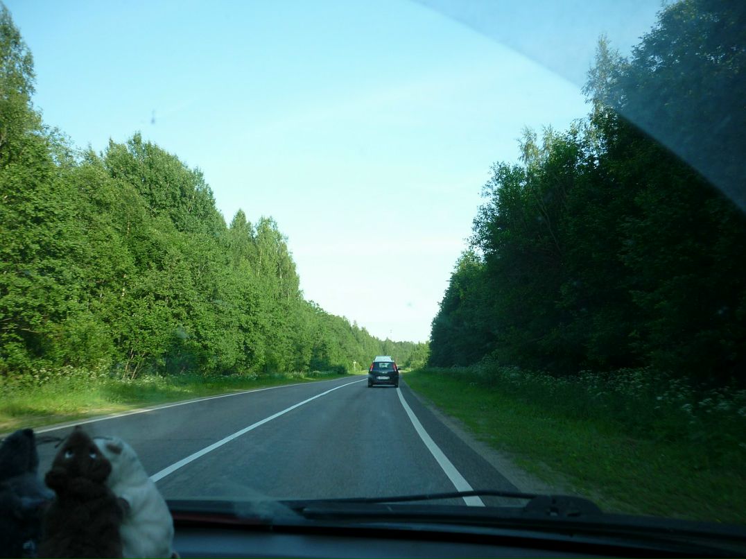 Софья Елисова фотография #26