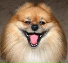 Фотография Архиповой Нины