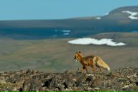 Фотография Татьяниной Татьяны