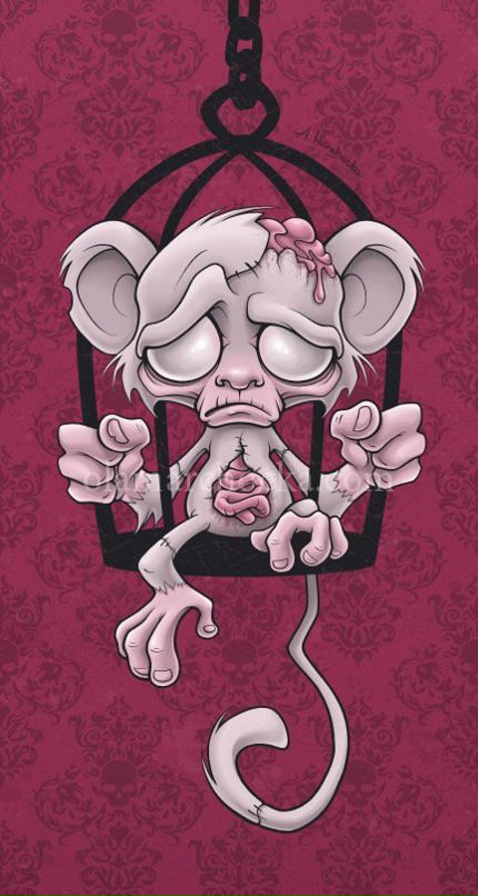 Тимур Рыбин фотография #8