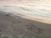 Фотография Плехановой Олеси