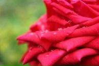 Фотография Таттаевой Наталии