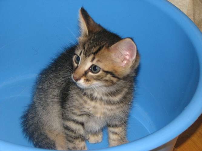 Эмочка Супер фотография #4