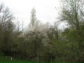 Віталій Тарасюк фотография #25 (источник - https://vk.com/id55734996)