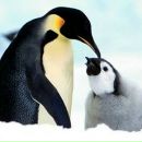 Віталік Порученко фотография #15 (источник - https://vk.com/id96772107)