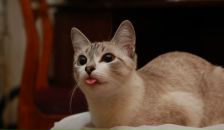 Фотография Лаврухиной Ольги