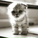 Фотография Кирилловой Виктории