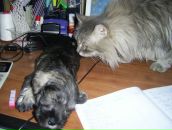 Фотография Черниковой Илоны