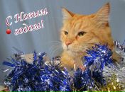 Фотография Козловой Алины