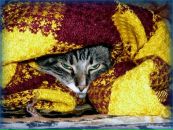 Фотография Galina Hoffmann