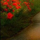 Марічка Билинь фотография #27 (источник - https://vk.com/id13386712)