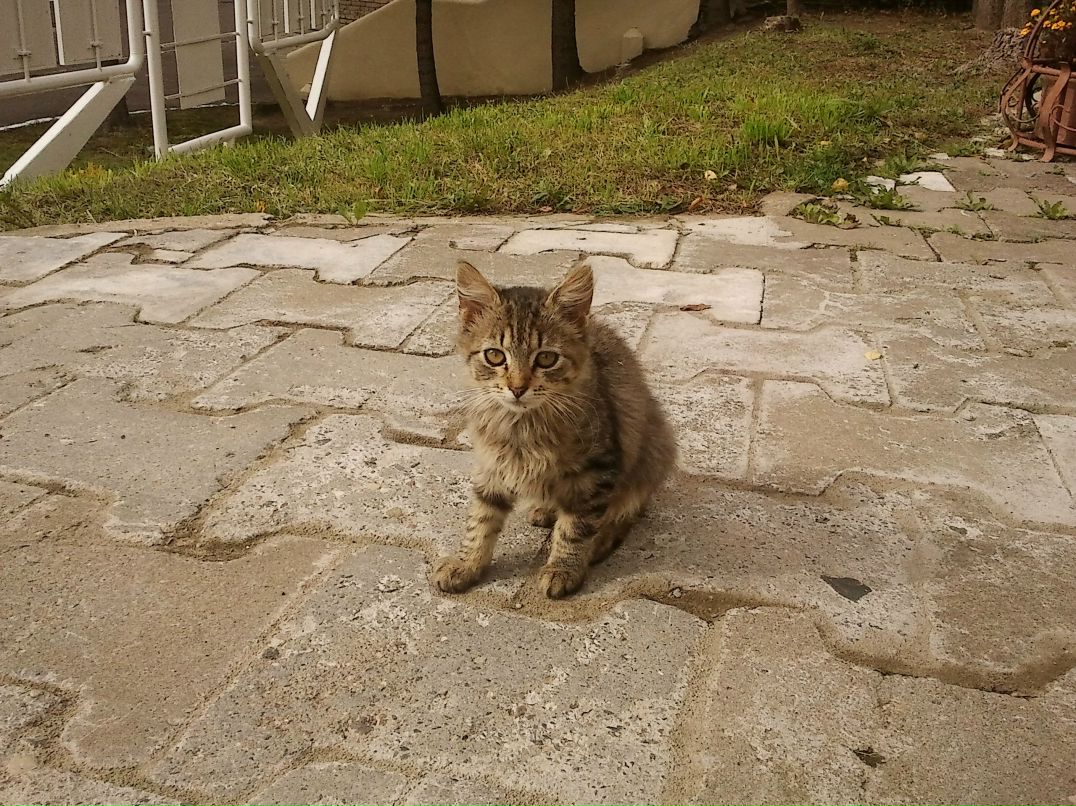 Макс Лебедев фотография #29