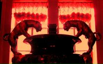 Фотография Петровой Марины