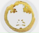 Фотография Швецова Игоря