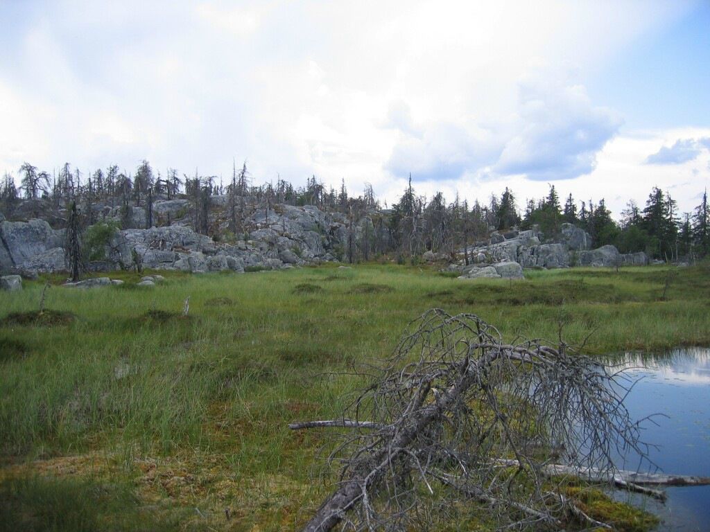 Иван Паньков фотография #17