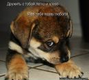 Діма Федак фотография #25 (источник - https://vk.com/id169870963)