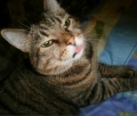 Фотография Фёдоровой Ирины