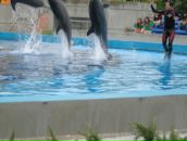 Надя Кіданецька фотография #11 (источник - https://vk.com/id103553217)