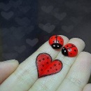 Віем Віем фотография #14 (источник - https://vk.com/id135593796)