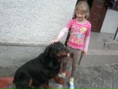 Юрій Воєвода фотография #16 (источник - https://vk.com/id49643628)