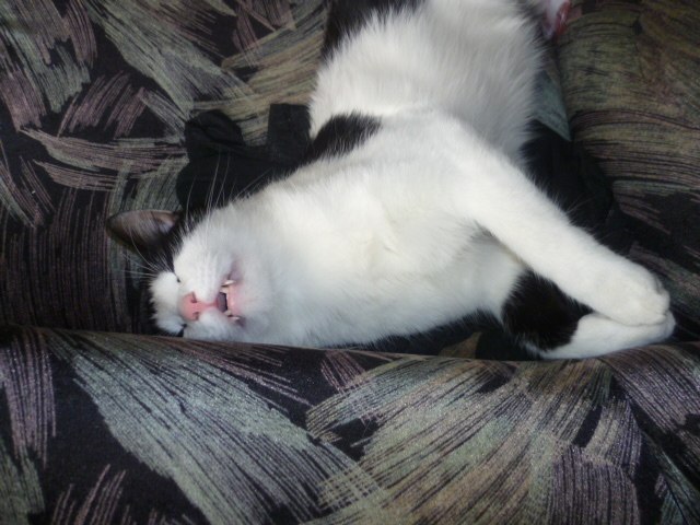 Сергей Басов фотография #15