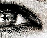 Вася Петя фотография #3 (источник - https://vk.com/id29331749)