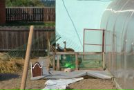 Константин Басалаев фотография #15 (источник - https://vk.com/id257097)