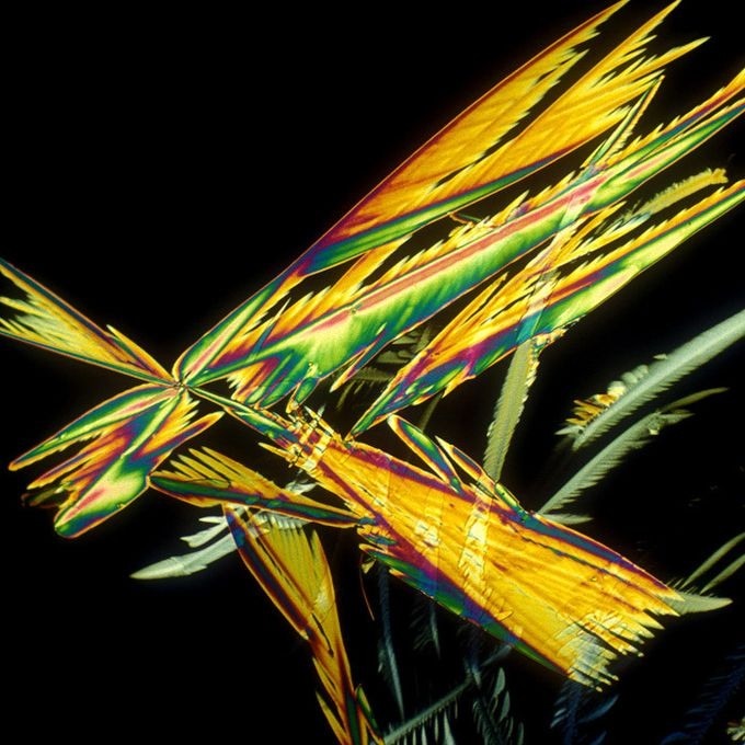 Сергей Ткаченко фотография #50