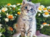 Екатерина Иваныш фотография #30 (источник - https://vk.com/id131764903)