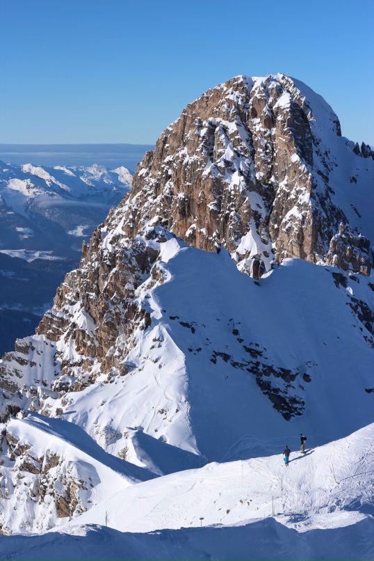 Александр Дру фотография #22