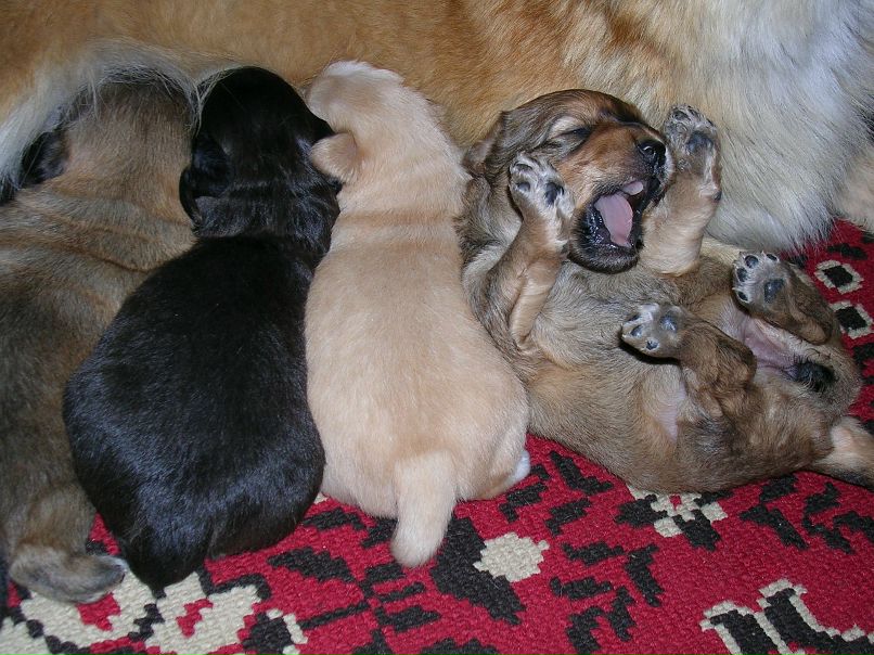 Дмитрий Бурлаков фотография #13