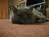 Фотография Спиридонова Евгения