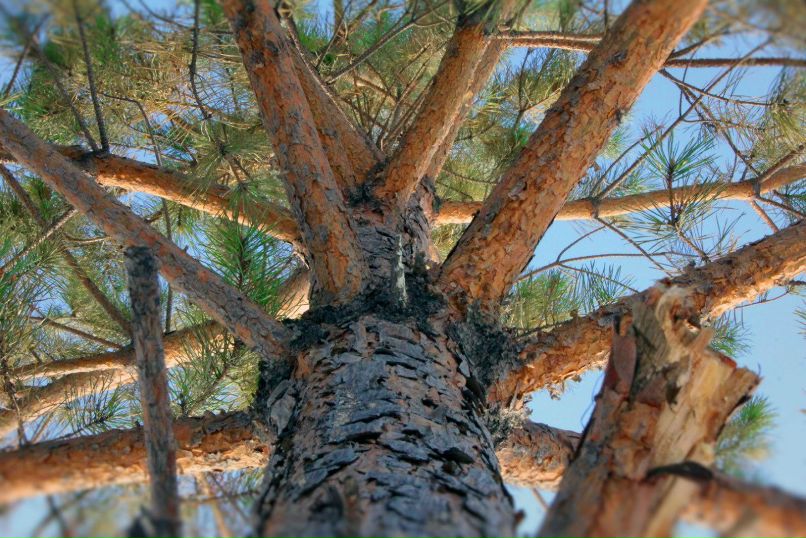 Евгений Гейн фотография #11