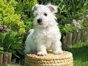 Софія Іванець фотография #14 (источник - https://vk.com/id132554416)