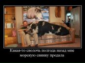 Міша Божан фотография #10 (источник - https://vk.com/id31850740)