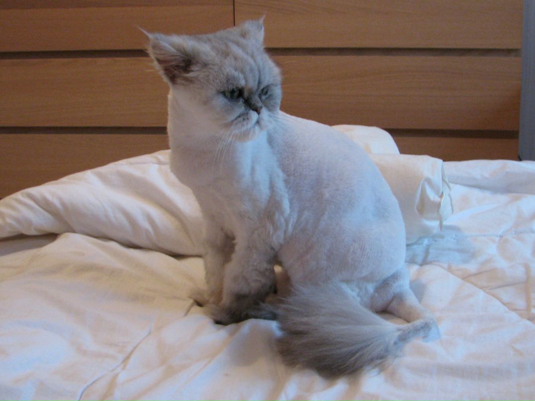 Ангелина Канцеляристова фотография #41