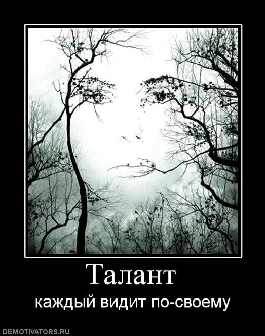 Дмитрий Зинцов фотография #19