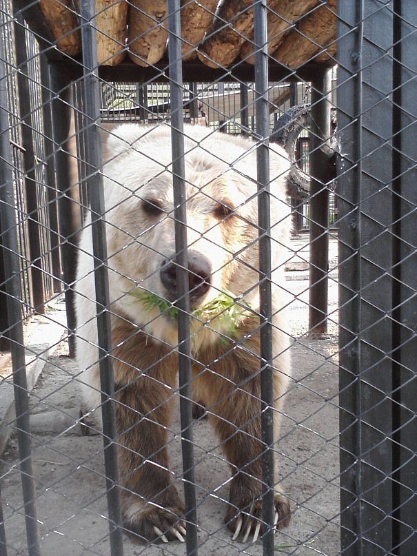 Дмитрий Иост фотография #40