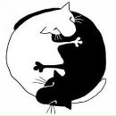 Фотография Уварычева Максима